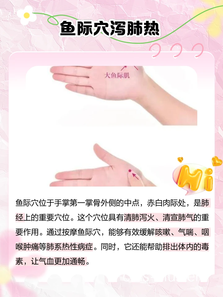 专业篮球运动员推荐的赛事训练计划_2